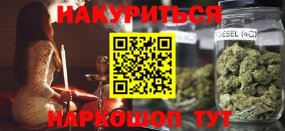 индика Камышлов
