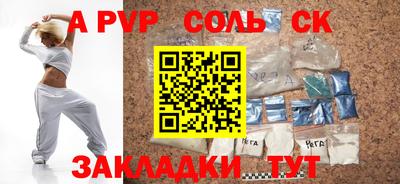 индика Камышлов