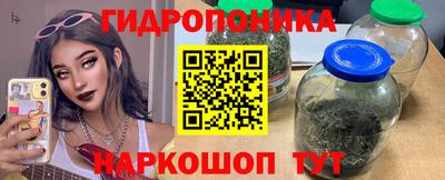 индика Камышлов