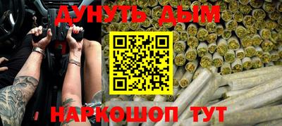 сатива Кандалакша