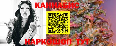 индика Камышлов