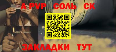 индика Камышлов