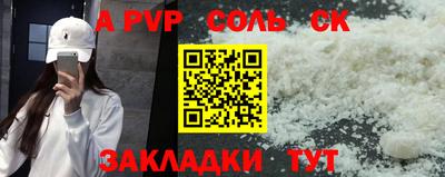 индика Камышлов