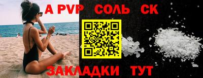 индика Камышлов