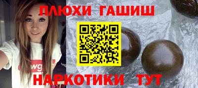 индика Камышлов