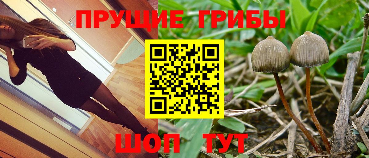 Псилоцибиновые грибы прущие грибы Лянтор